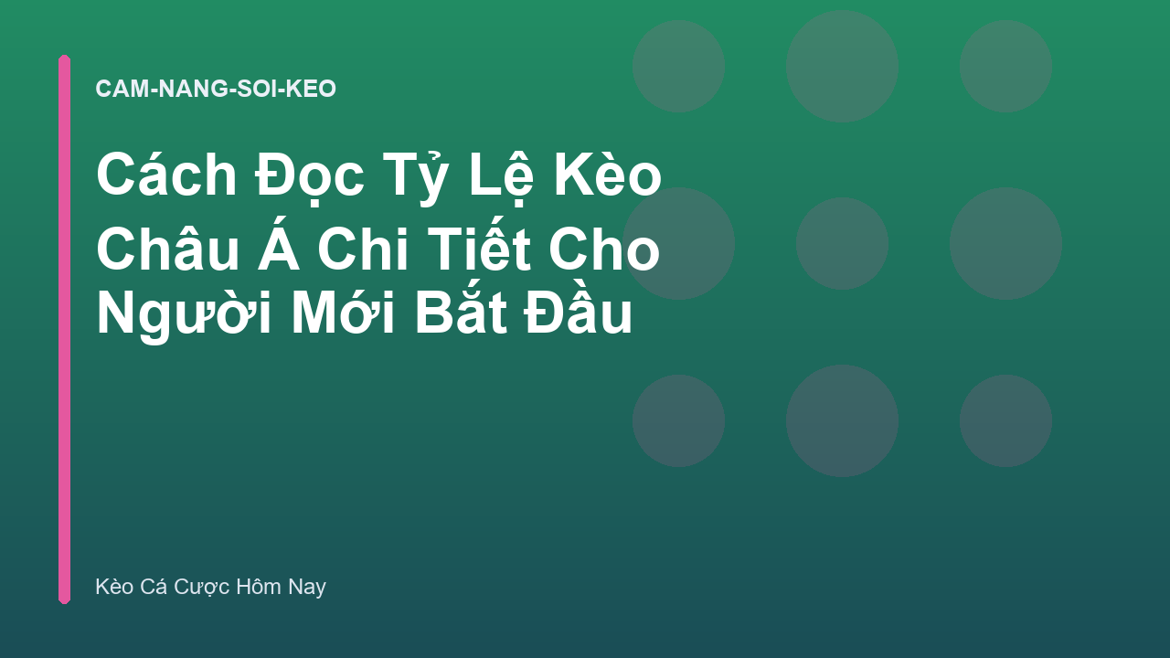 Cách Đọc Tỷ Lệ Kèo Châu Á Chi Tiết Cho Người Mới Bắt Đầu
